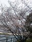 【ブック＆コラム】再び「核時代の想像力」を