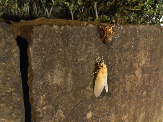 c250802.JPG