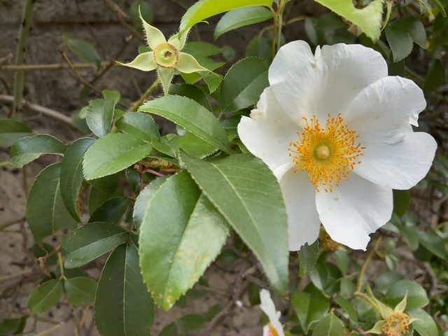 c260613.JPG