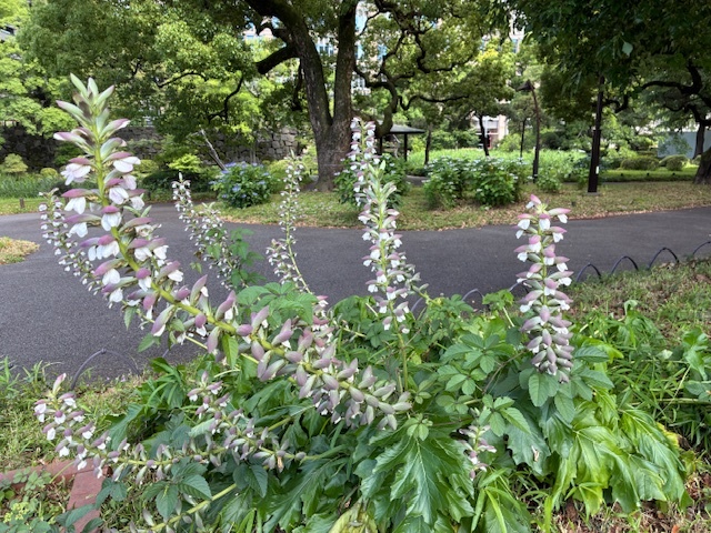 c260801.jpg