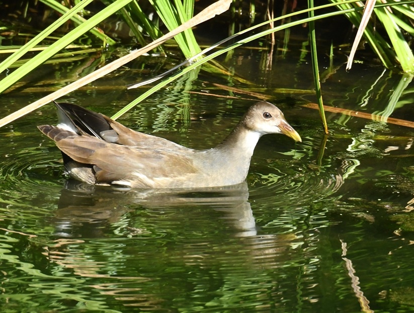 c261031.JPG