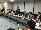 法案整備までの経過と今後の国会・政治の流れ